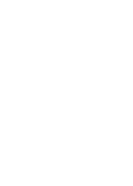 Imagem de um pedal do Budweiser